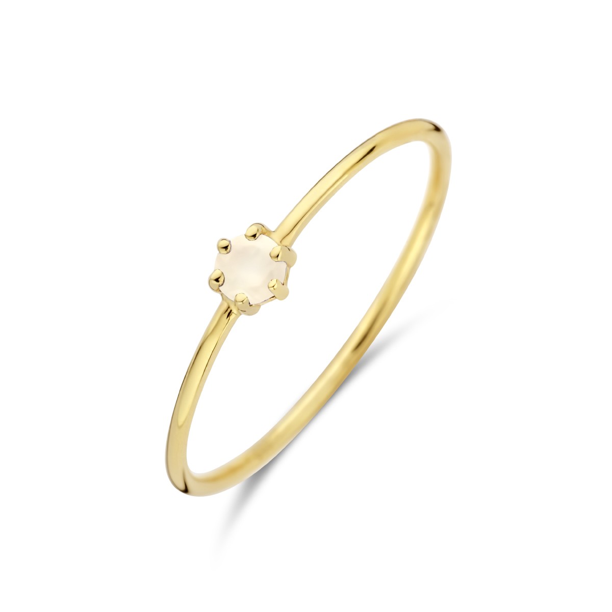 Ring met geboortesteen maansteen juni 14K geelgoud