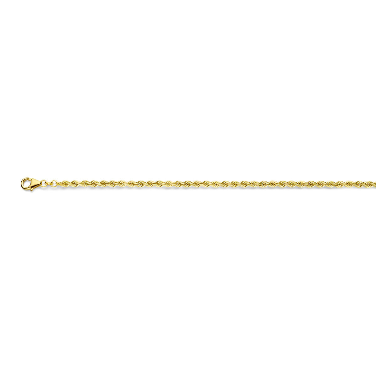 14K geelgoud collier koord 3,3 mm 42 cm massief 4028099 - PansiteNederland.nl