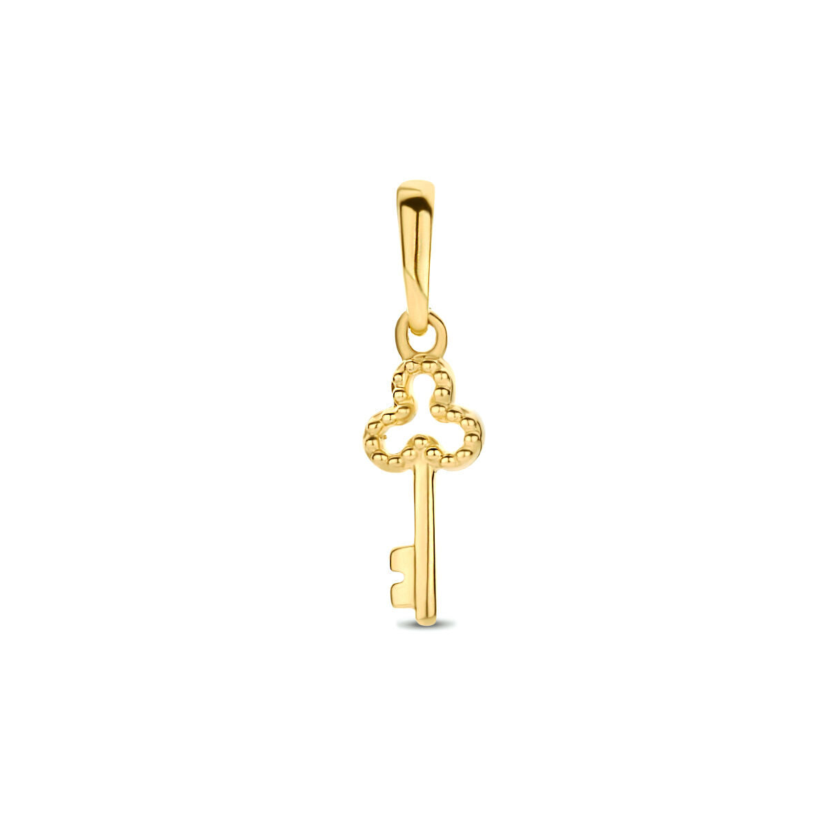 14K geelgoud hanger sleutel 4028298