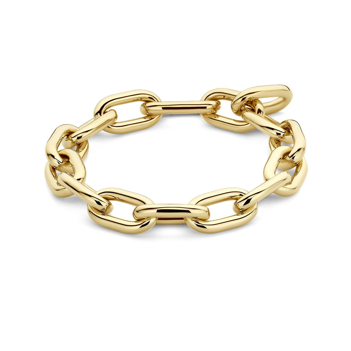 14K Geelgoud Armband 11,5 Mm 21,5 Cm 4028505 - PansiteNederland.nl