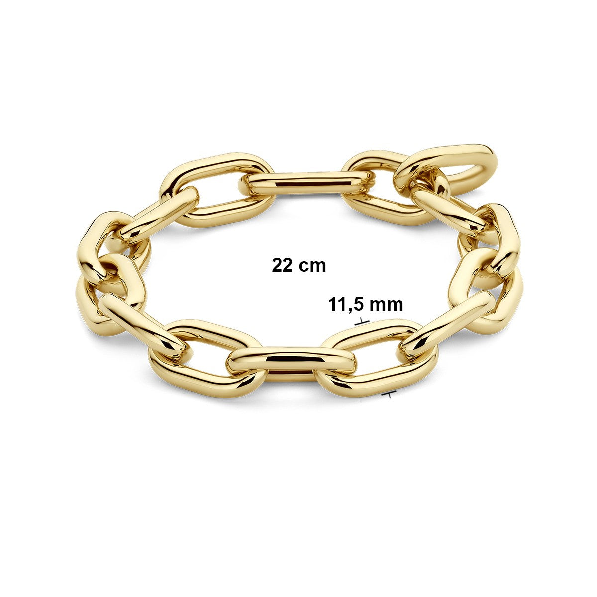14K Geelgoud Armband 11,5 Mm 21,5 Cm 4028505 - PansiteNederland.nl