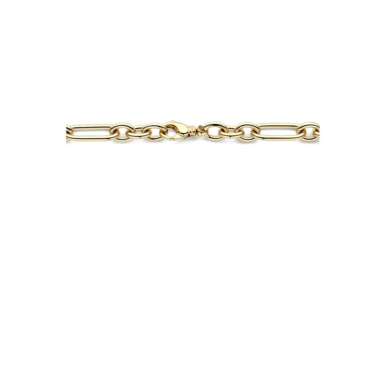 14K geelgoud collier 10,7 mm 46 cm 4028513 - PansiteNederland.nl