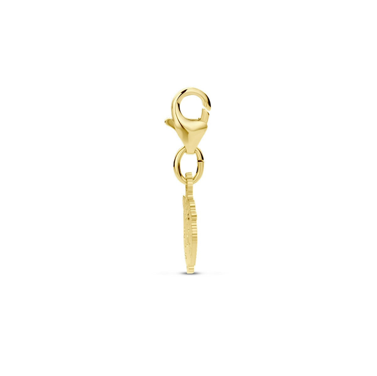 14K geelgoud slotbedel jongen 4028528 - PansiteNederland.nl