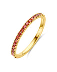 14K Geelgoud Ring Met Geboortesteen Granaat Januari 4028549 - PansiteNederland.nl