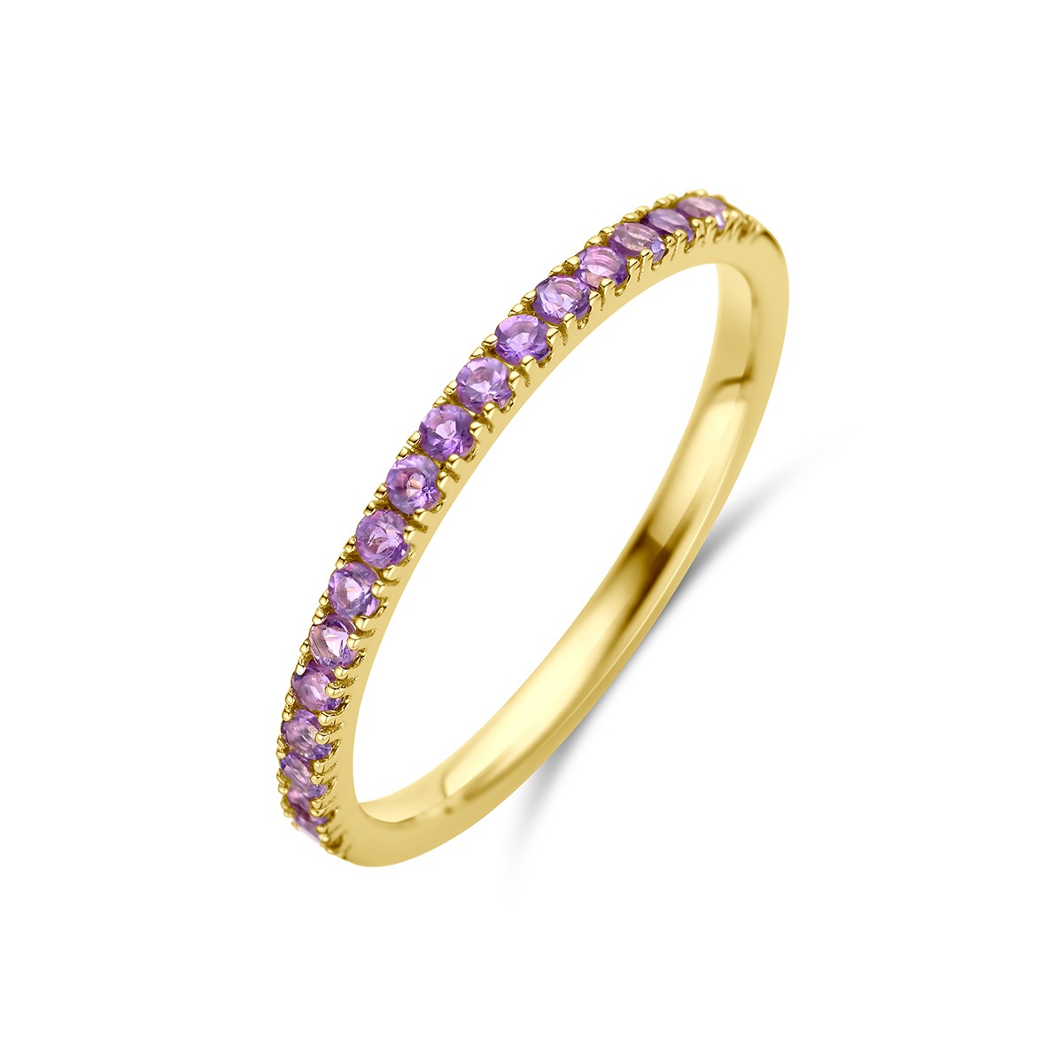 14K Geelgoud Ring Met Geboortesteen Amethist Februari 4028554 - PansiteNederland.nl