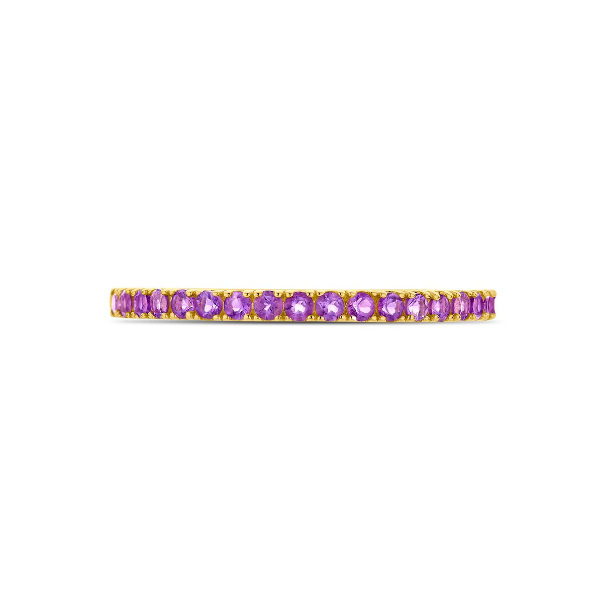 14K Geelgoud Ring Met Geboortesteen Amethist Februari 4028554 - PansiteNederland.nl