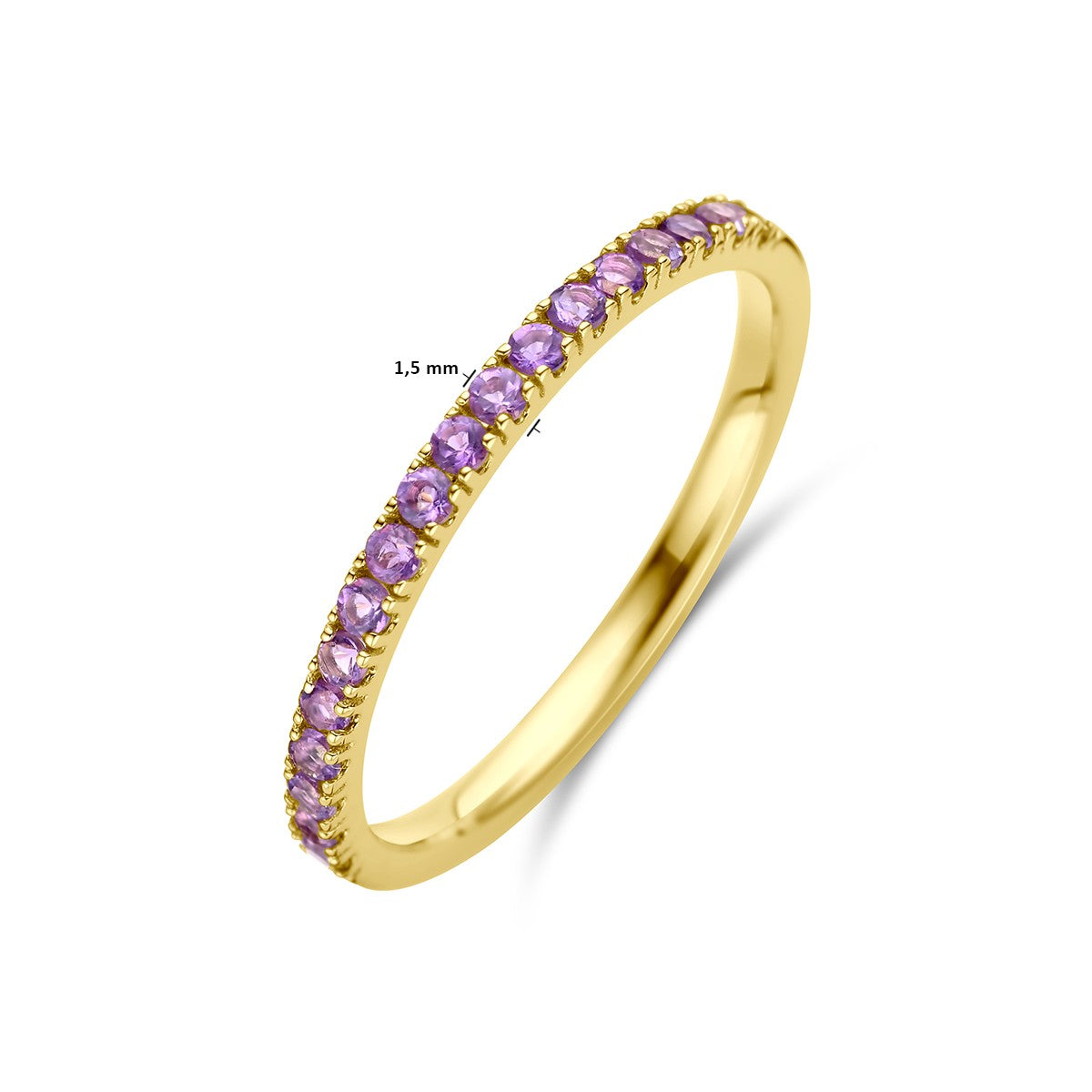 14K Geelgoud Ring Met Geboortesteen Amethist Februari 4028554 - PansiteNederland.nl
