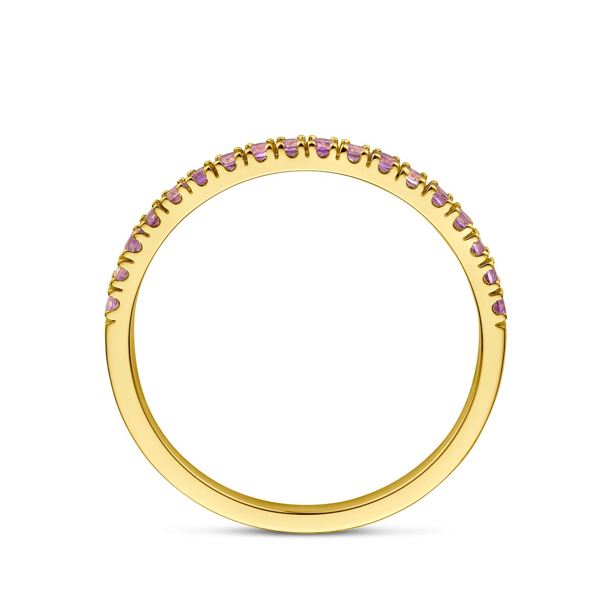 14K Geelgoud Ring Met Geboortesteen Licht Amethist Juni 4028574 - PansiteNederland.nl