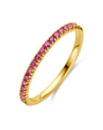14K Geelgoud Ring Met Geboortesteen Robijn Juli 4028579 - PansiteNederland.nl