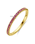 14K Geelgoud Ring Met Geboortesteen Robijn Juli 4028579 - PansiteNederland.nl