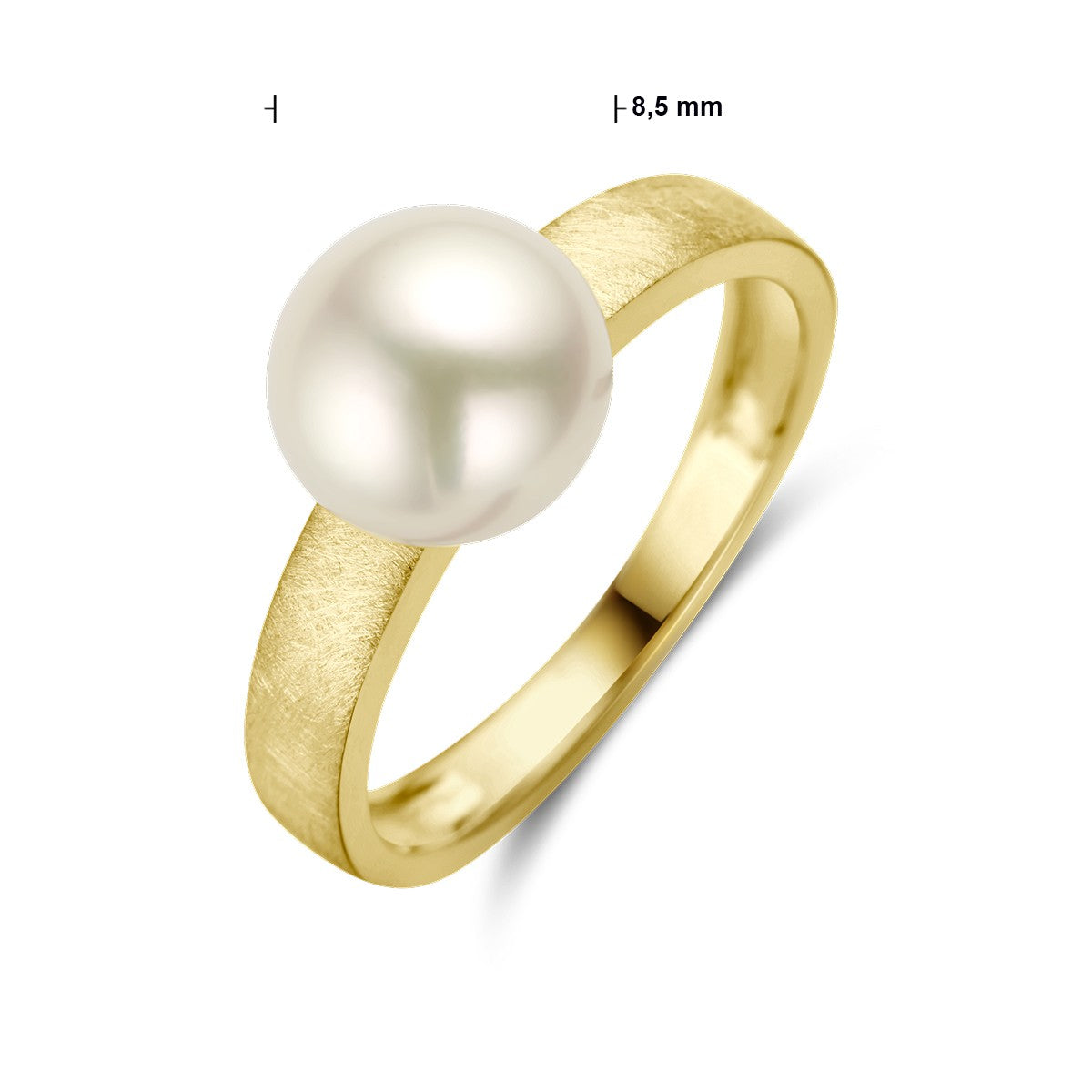 14K Geelgoud Ring Parel Gescratcht 4028700 - PansiteNederland.nl