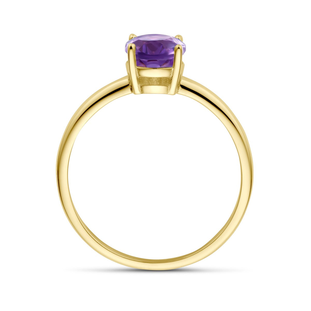 14K Geelgoud Ring Amethist 4028722 - PansiteNederland.nl