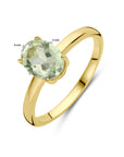 14K Geelgoud Ring Groen Amethist 4028726 - PansiteNederland.nl