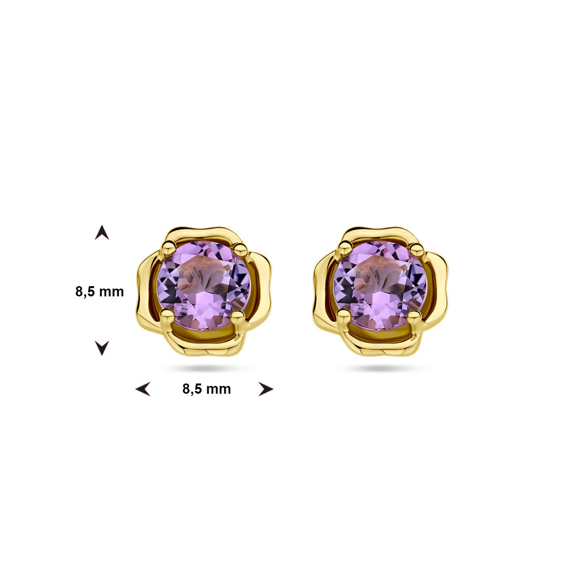14K Geelgoud Oorknoppen Amethist 4028741 - PansiteNederland.nl