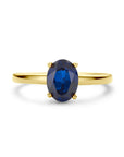 14K Geelgoud Ring Saffier 4028764 - PansiteNederland.nl