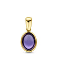 14K geelgoud hanger amethist 4028793 - PansiteNederland.nl