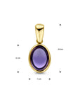 14K geelgoud hanger amethist 4028793 - PansiteNederland.nl