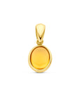 14K geelgoud hanger citrien 4028794 - PansiteNederland.nl