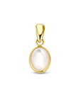 14K geelgoud hanger parelmoer 4028795 - PansiteNederland.nl