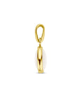 14K geelgoud hanger parelmoer 4028795 - PansiteNederland.nl