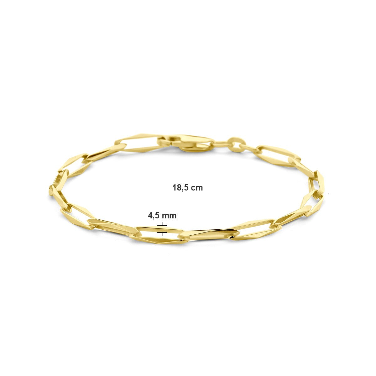 14K Geelgoud Armband Closed Forever 4,5 mm Massief 4028817 - PansiteNederland.nl