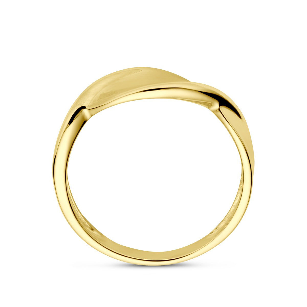 14K Geelgoud Ring Poli/Mat 4028845 - PansiteNederland.nl
