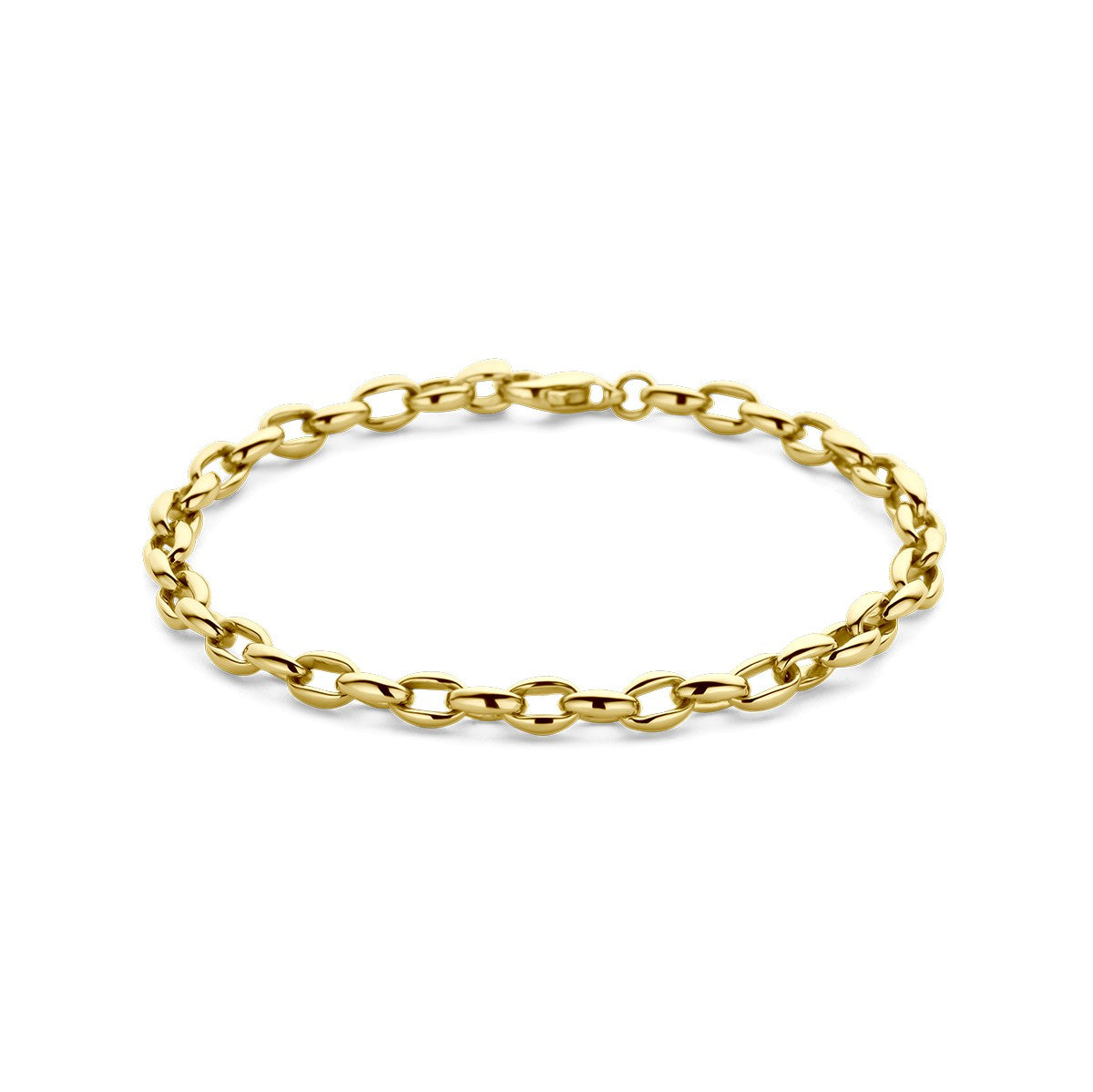14K Geelgoud Armband 5,0 Mm 19 Cm 4028887 - PansiteNederland.nl