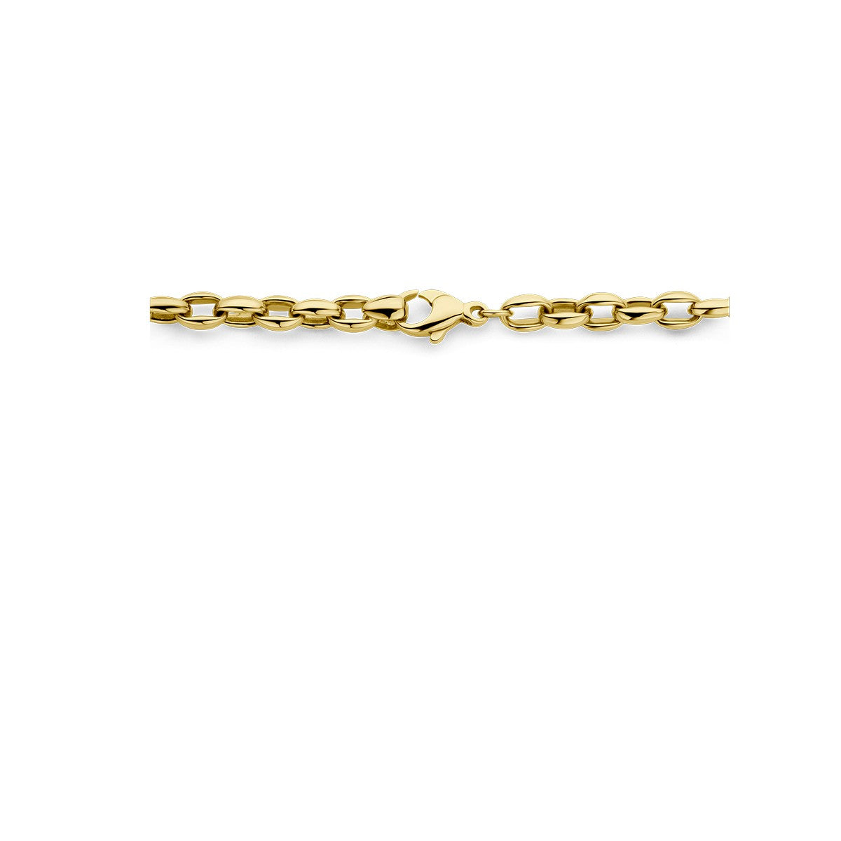 14K geelgoud collier 5,0 mm 43 cm 4028888 - PansiteNederland.nl