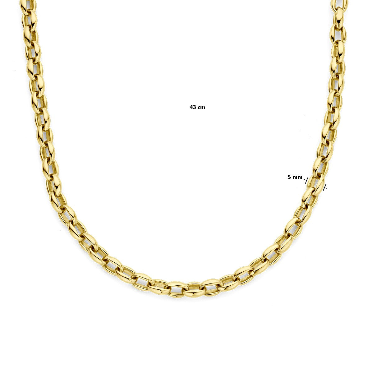 14K geelgoud collier 5,0 mm 43 cm 4028888 - PansiteNederland.nl