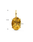 14K geelgoud hanger citrien 4028964 - PansiteNederland.nl