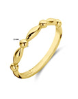 14K Geelgoud Ring 4029241 - PansiteNederland.nl
