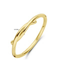 14K Geelgoud Ring 4029393 - PansiteNederland.nl