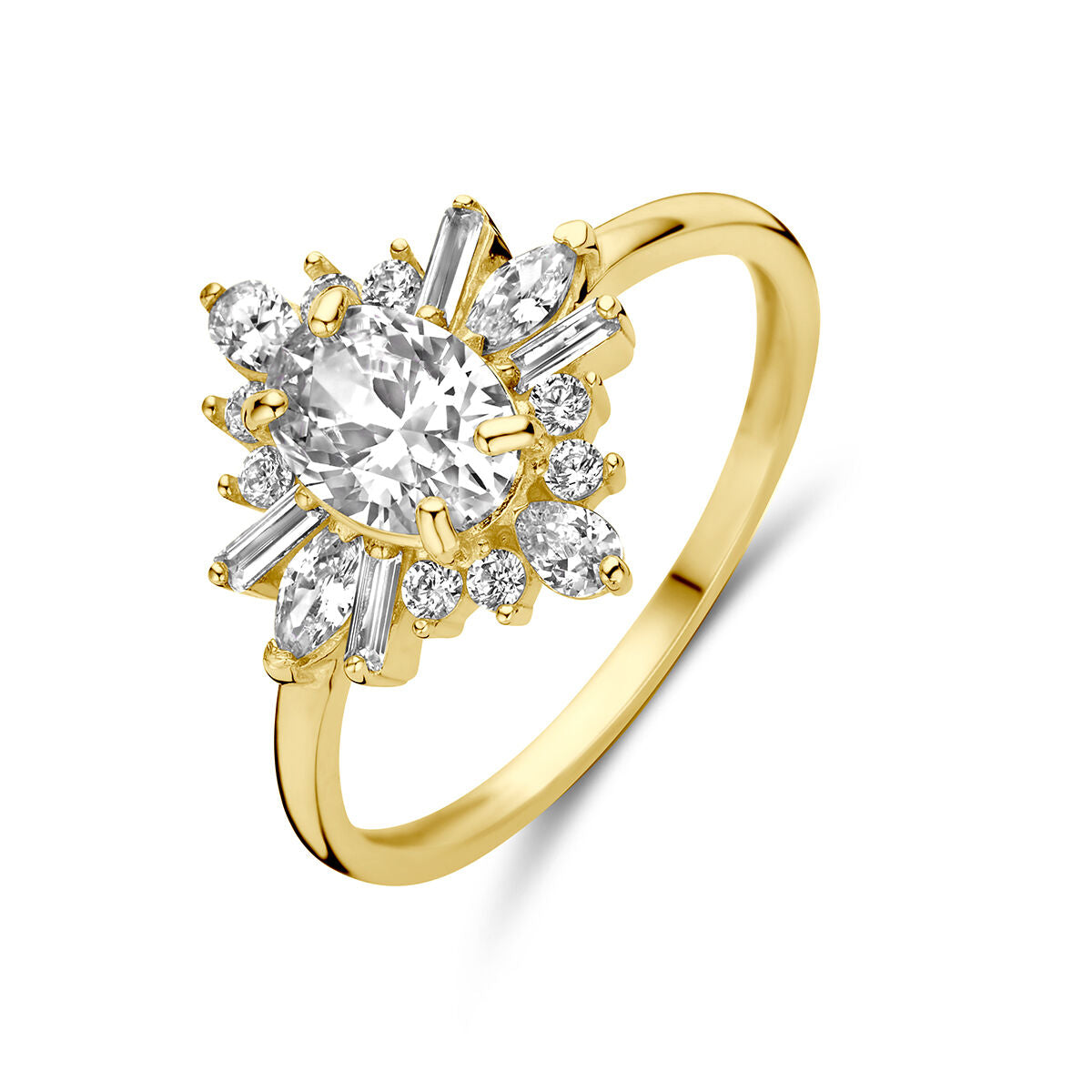 14K Geelgoud Ring Met Zirkonia 4029451 - PansiteNederland.nl