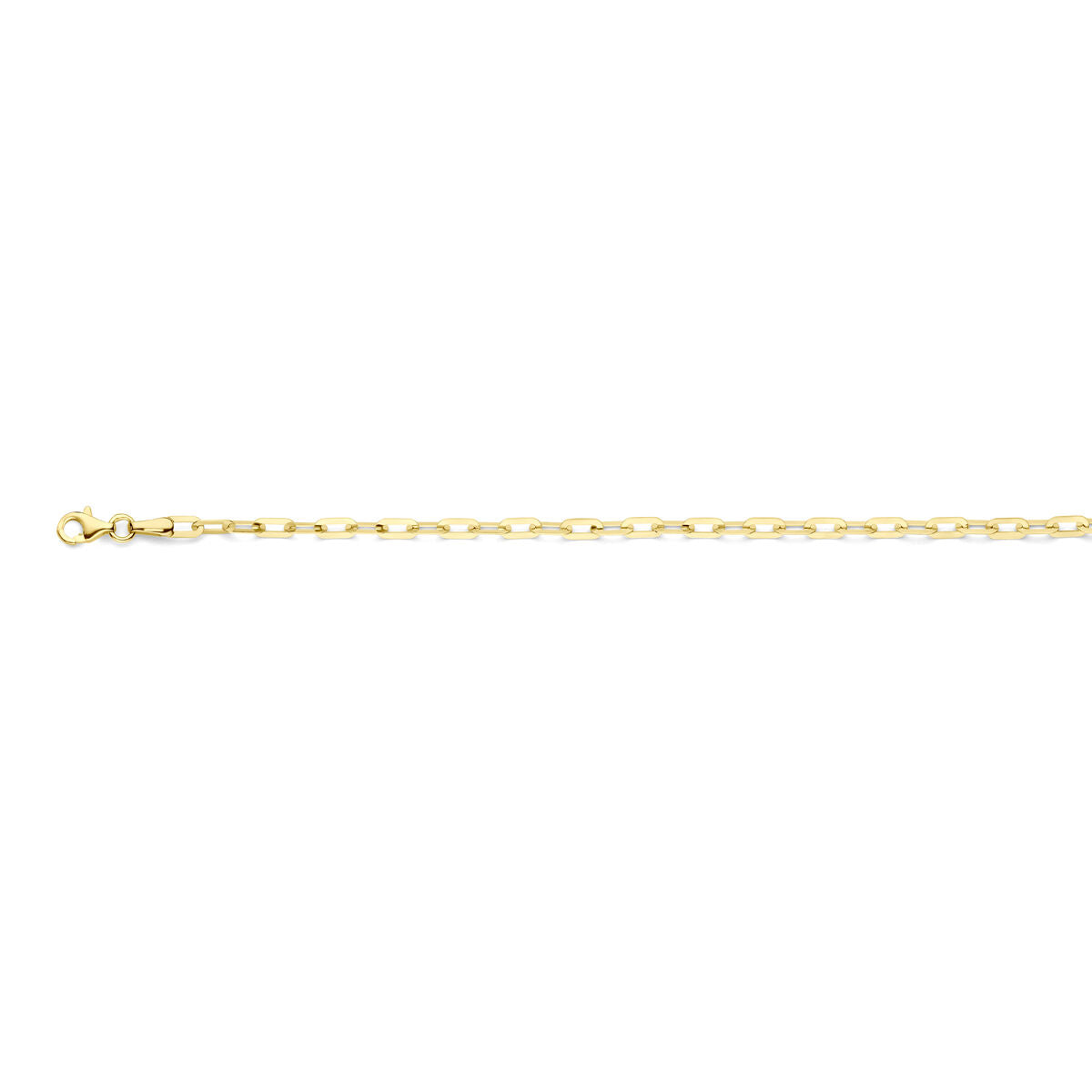 14K Geelgoud Armband Paperclip 3 Mm 18,5 Cm 4030813 - PansiteNederland.nl