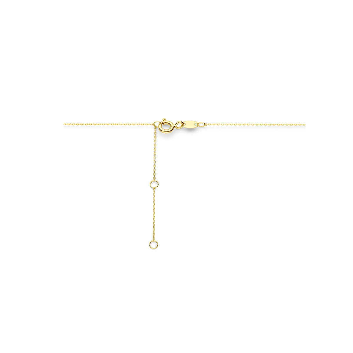 14K geelgoud collier hartje 41 - 43 - 45 cm 4030829 - PansiteNederland.nl