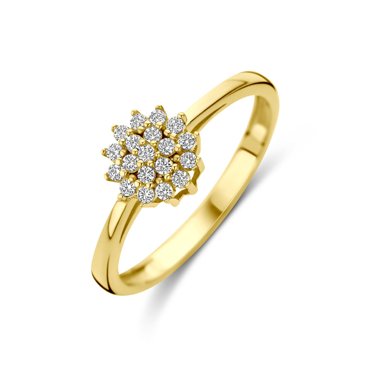 14K Geelgoud Ring Met Zirkonia 4030844 - PansiteNederland.nl