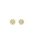 14K geelgoud oorknoppen zirkonia 3,5 mm - 4031006