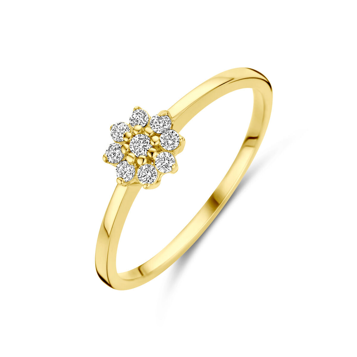 14K geelgouden ring zirkonia 4031447 - PansiteNederland.nl