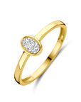 14K Geelgoud Ring Met Zirkonia 4031515 - PansiteNederland.nl