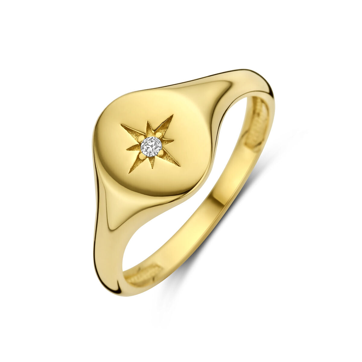 14K Geelgoud Ring Met Zirkonia 4031550 - PansiteNederland.nl