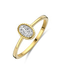 14K Geelgoud Ring Met Zirkonia 4031713 - PansiteNederland.nl