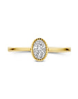 14K Geelgoud Ring Met Zirkonia 4031713 - PansiteNederland.nl