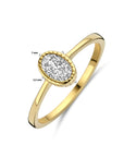 14K Geelgoud Ring Met Zirkonia 4031713 - PansiteNederland.nl