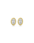 14K Geelgoud Oorknoppen Zirkonia 6 Mm 4031723 - PansiteNederland.nl