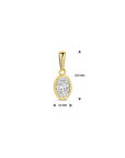 14K geelgoud hanger zirkonia 13,5 mm 4031725 - PansiteNederland.nl