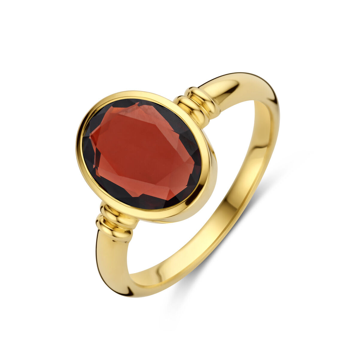 14K Geelgoud Ring Granaat 4031760 - PansiteNederland.nl