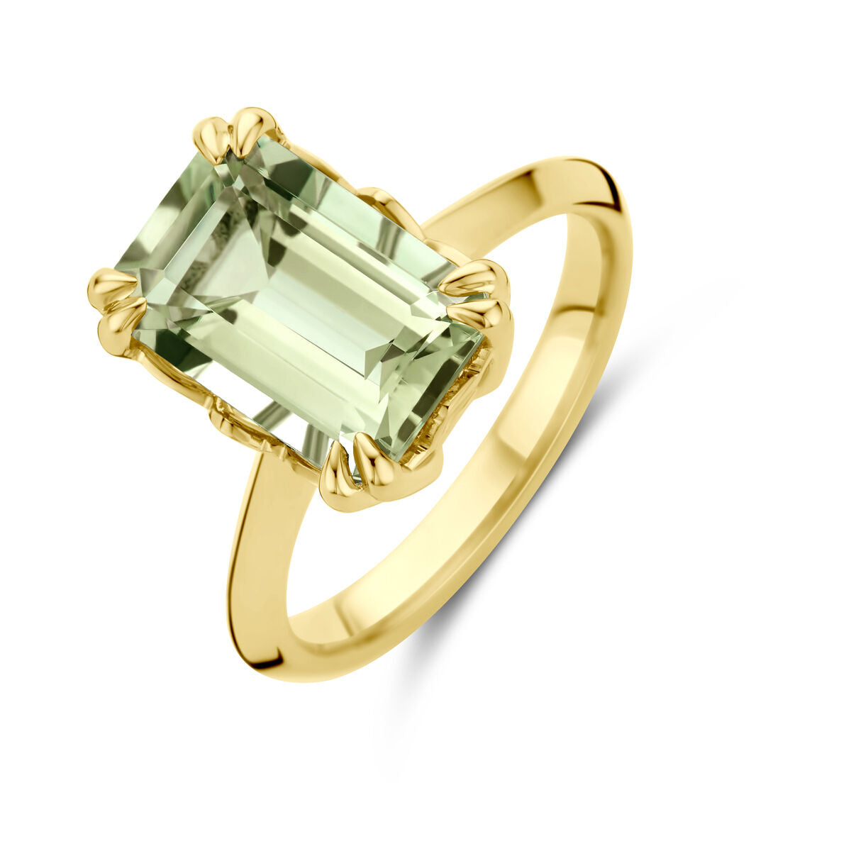 14K Geelgoud Ring Groen Amethist 4031861 - PansiteNederland.nl