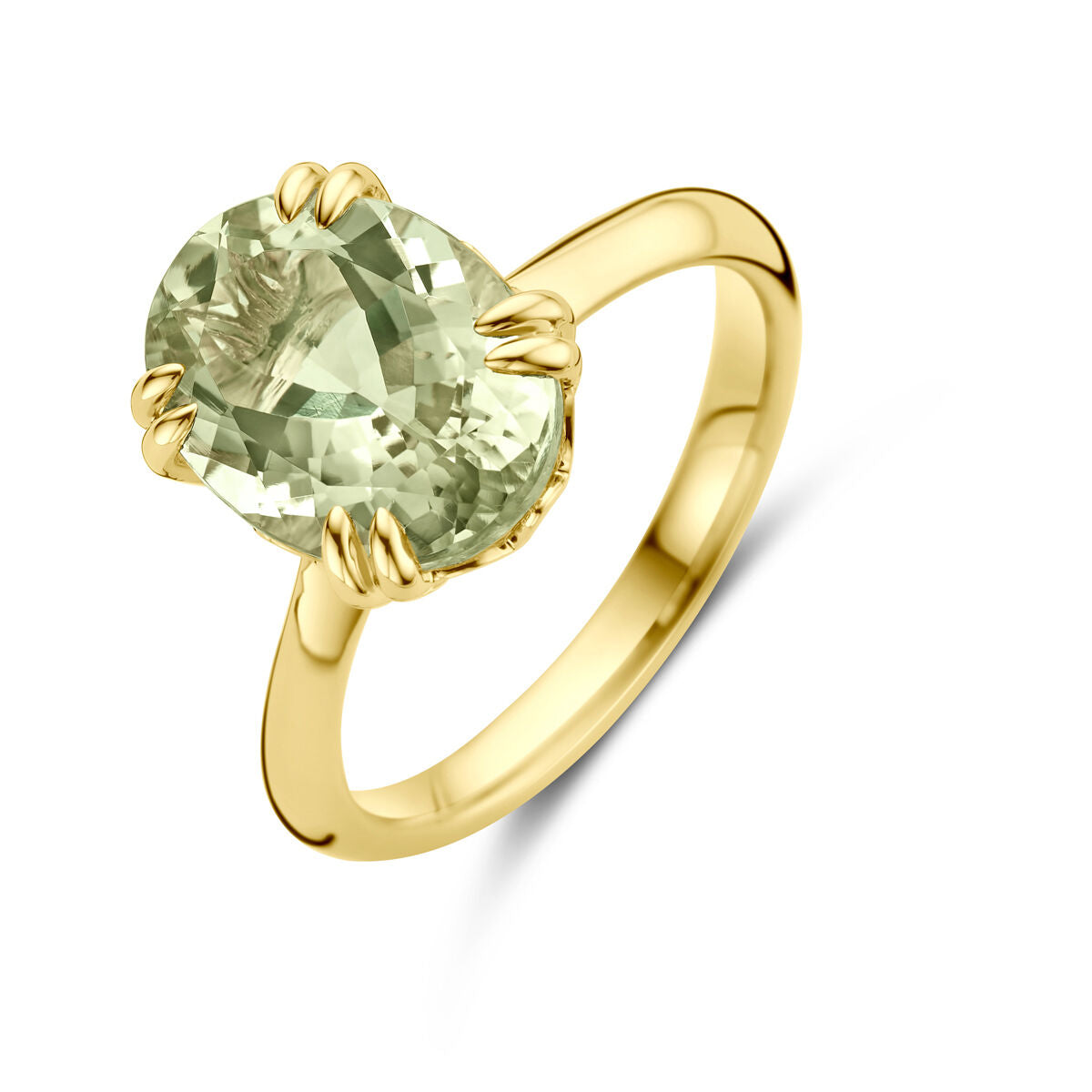 14K Geelgoud Ring Groen Amethist 4031870 - PansiteNederland.nl