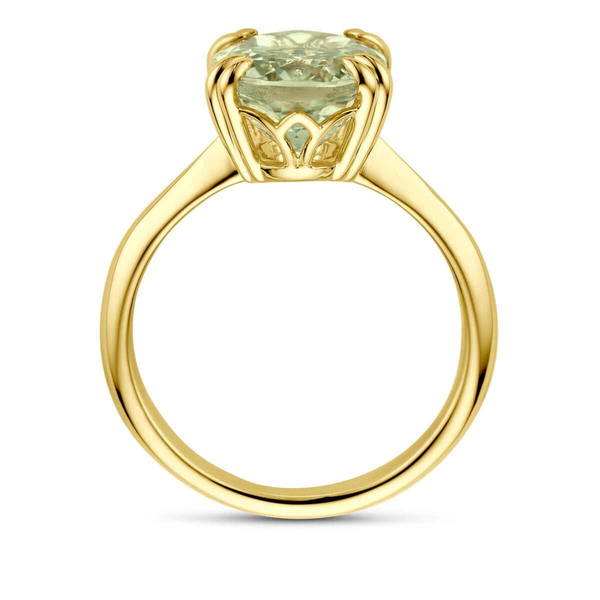14K Geelgoud Ring Groen Amethist 4031870 - PansiteNederland.nl