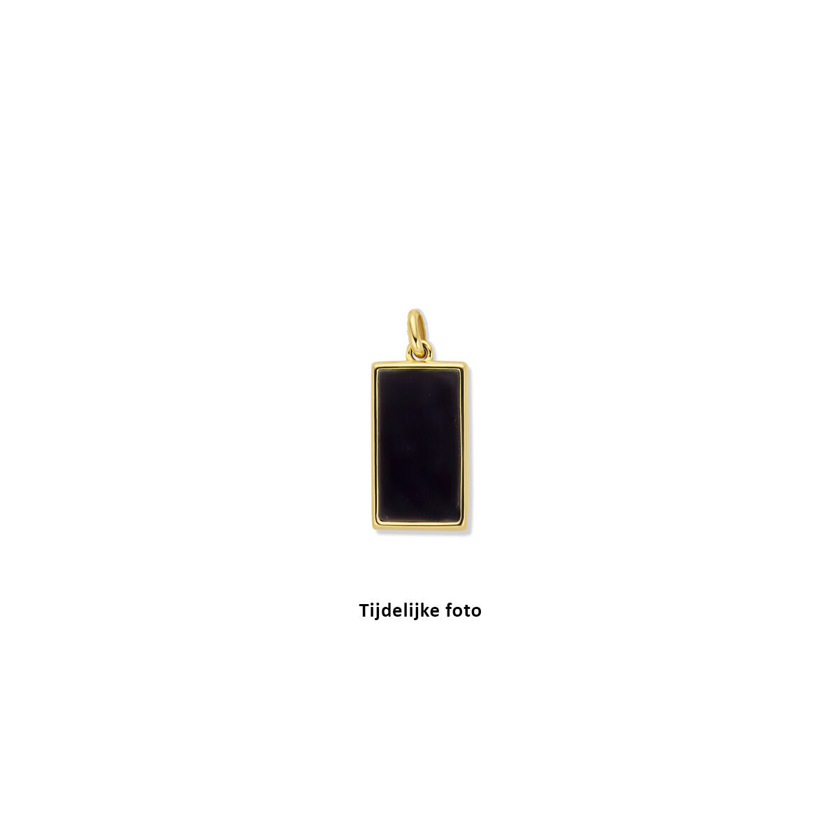 14K geelgoud hanger onyx 25 mm 4031891 - PansiteNederland.nl